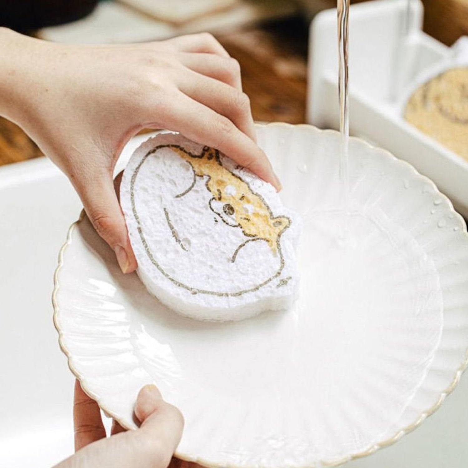 DoodleSponge Expandable Scrub Pads