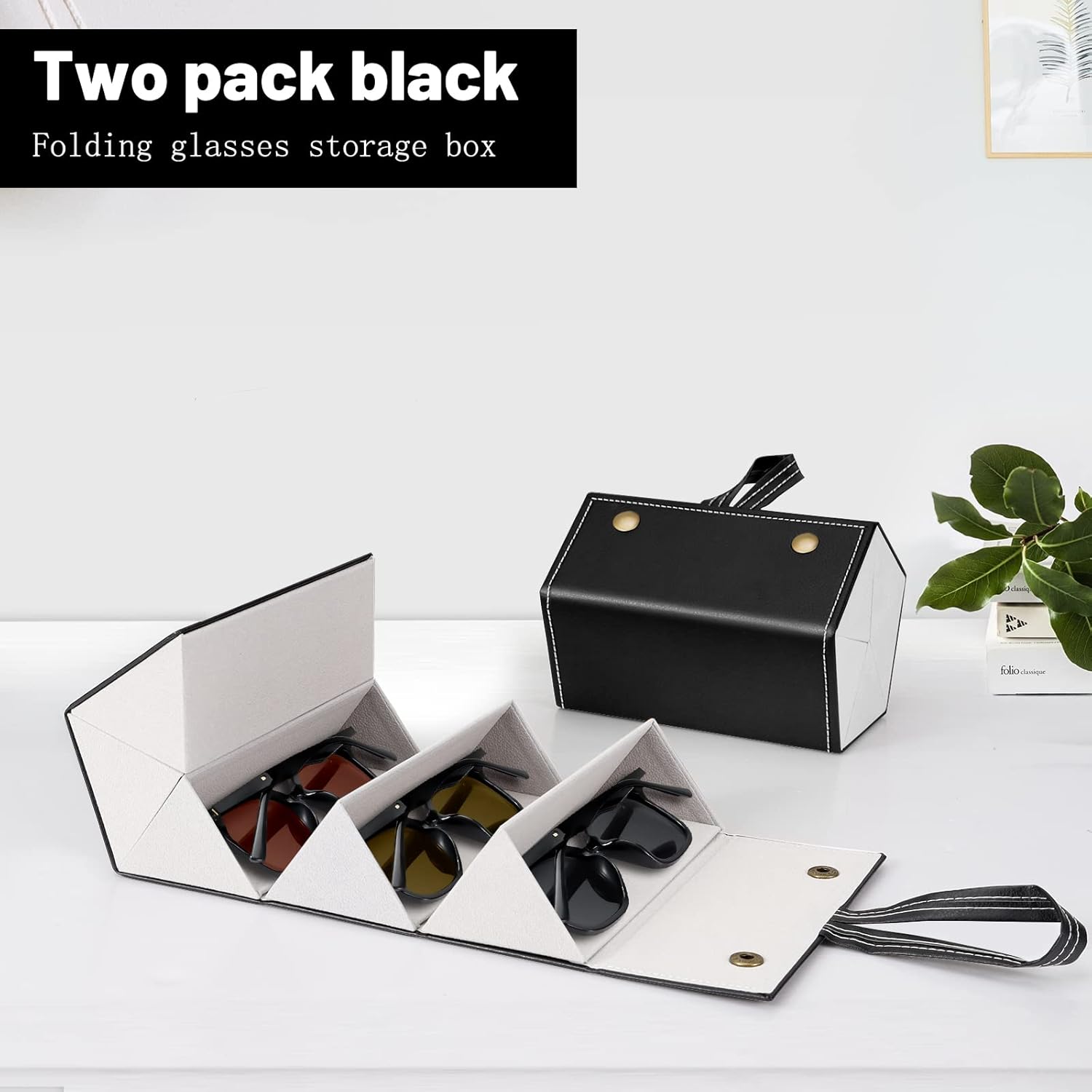 SmartCarry Sunglass Case