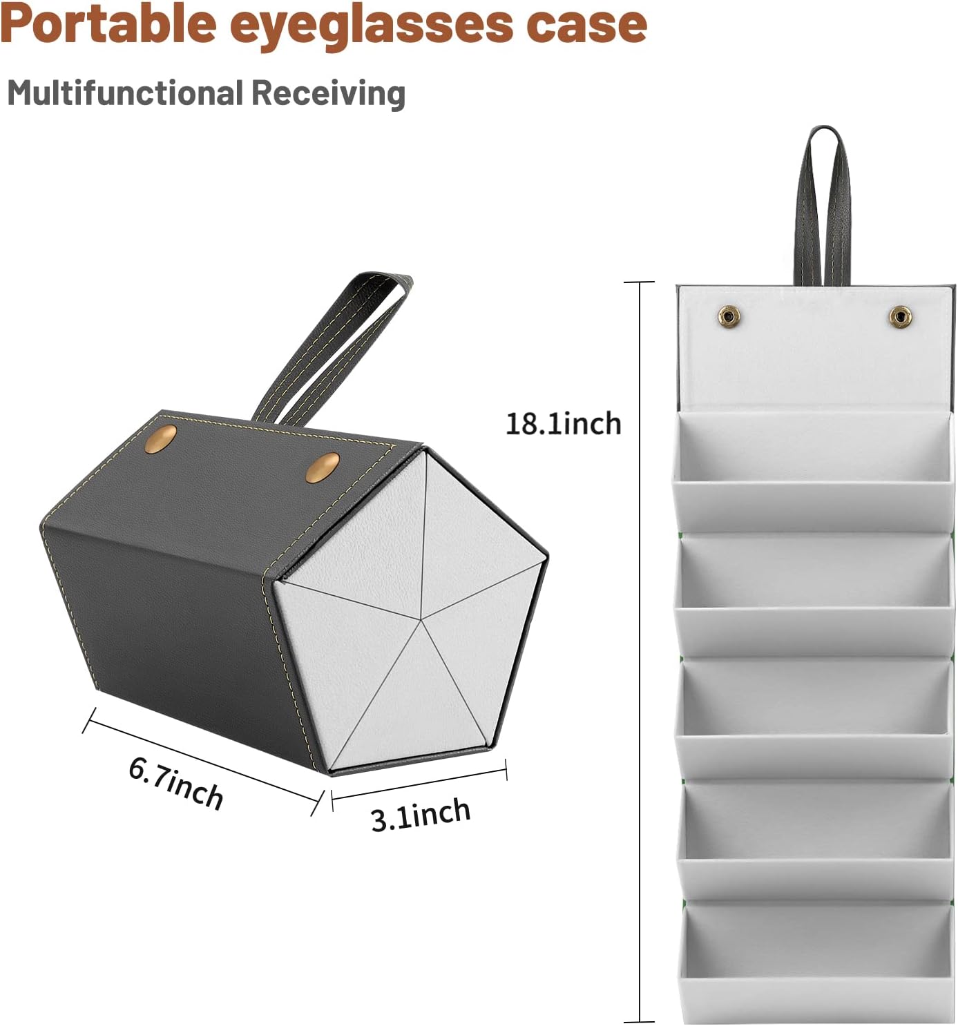 SmartCarry Sunglass Case