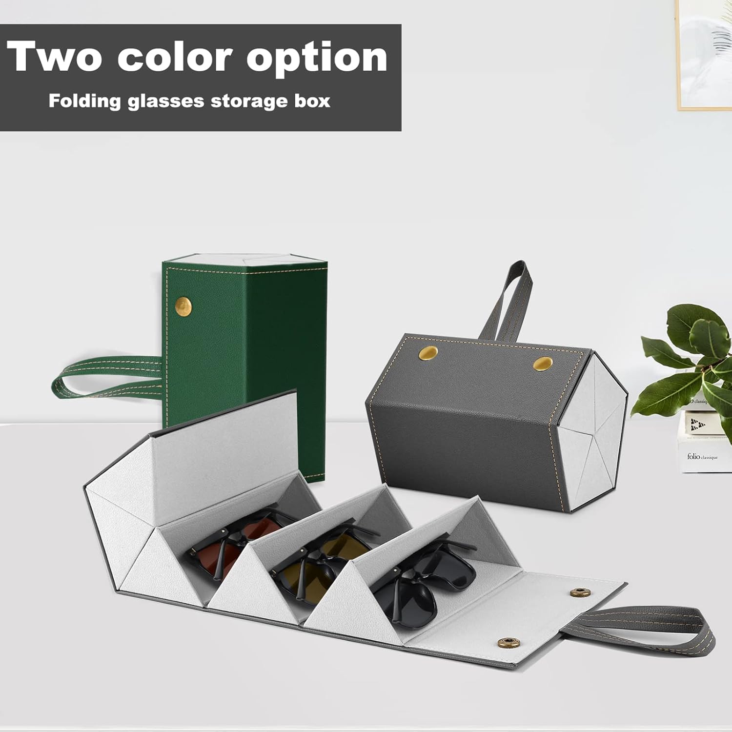 SmartCarry Sunglass Case