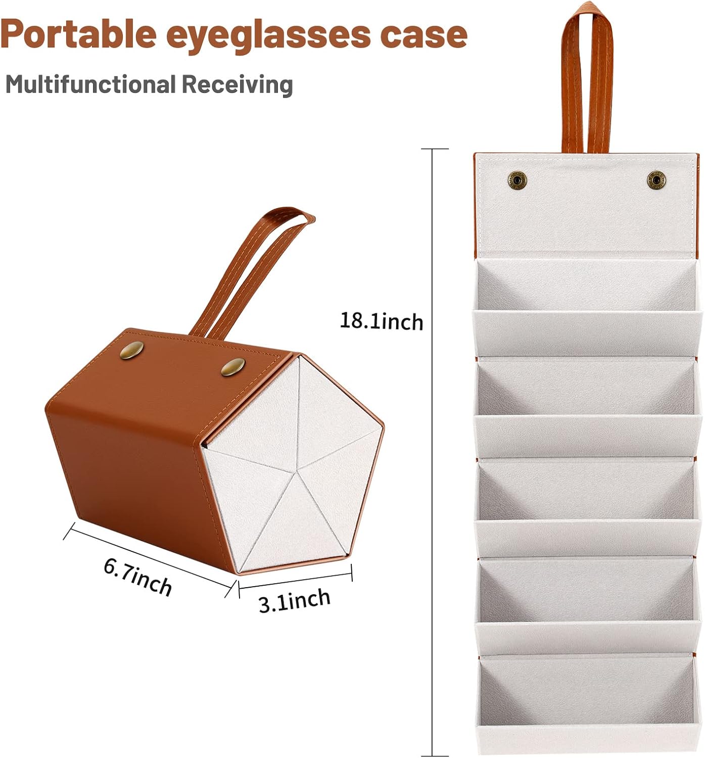 SmartCarry Sunglass Case