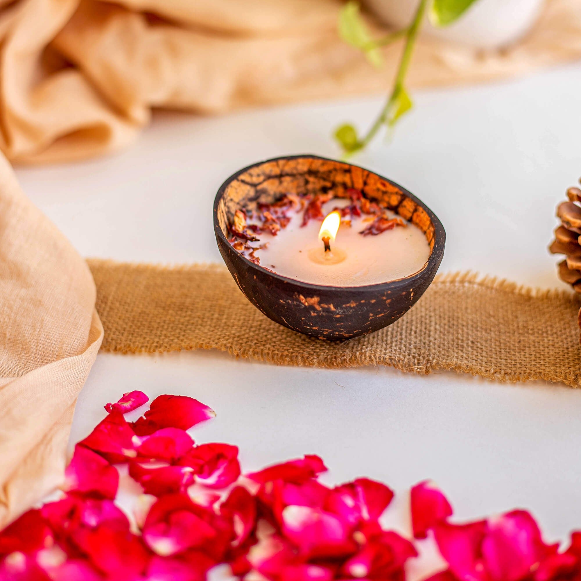 Serenity Coconut Shell Candle